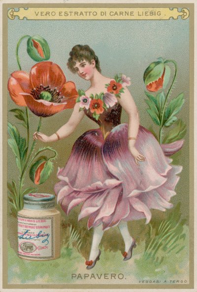 Fille aux Fleurs de Pavot - European School